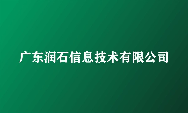 广东润石信息技术有限公司