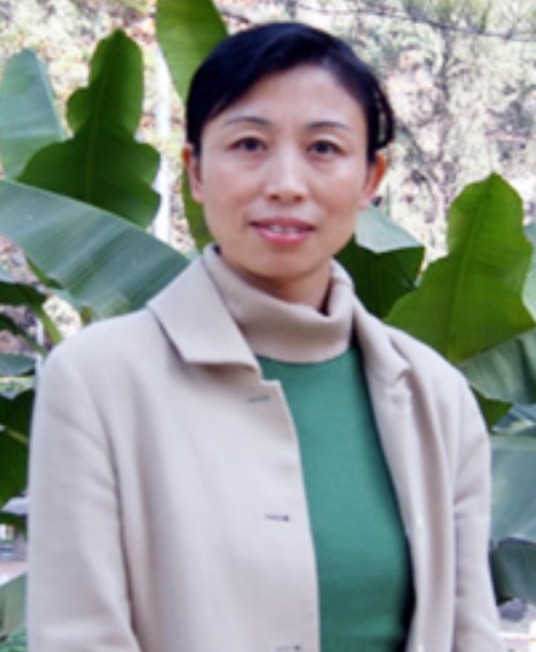 刘军华（中国陕西师范大学教授）