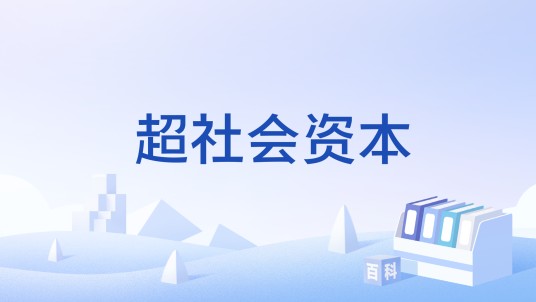 超社会资本