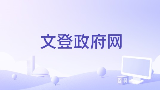 文登政府网