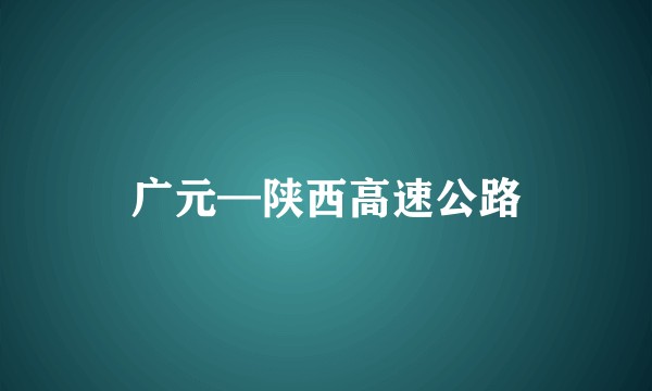 广元—陕西高速公路