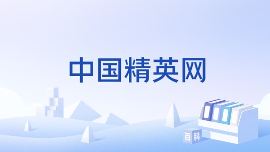 中国精英网