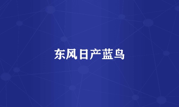 东风日产蓝鸟