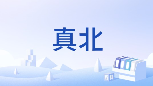 真北（指向地理北极的地球方向基准）