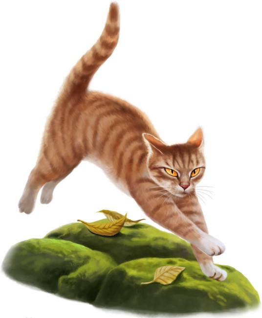 叶池（小说《猫武士》中登场的角色）