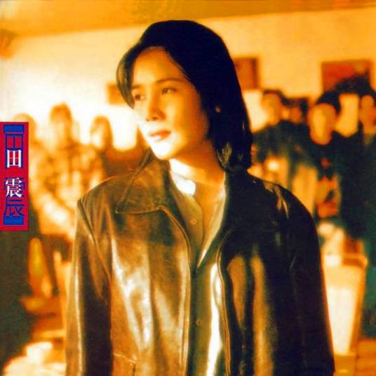 野花(1996年田震演唱的歌曲)
