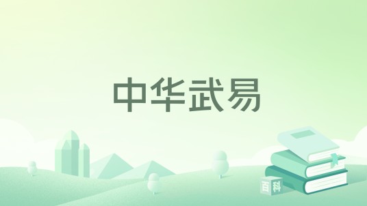 中华武易（中华武易原创网游改编小说）