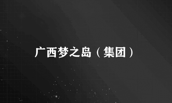 广西梦之岛（集团）