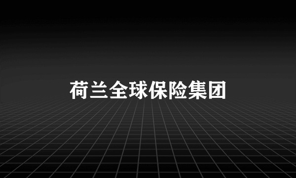 荷兰全球保险集团