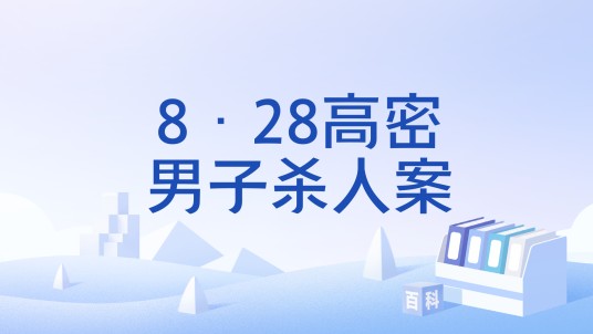 8·28高密男子杀人案