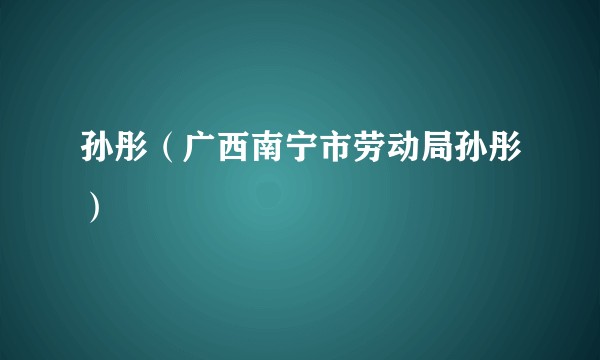 孙彤（广西南宁市劳动局孙彤）