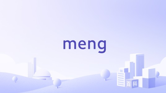 meng（中国多个科研及制造团队的统称）