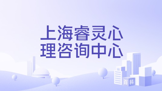 上海睿灵心理咨询中心