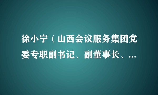 徐小宁（山西会议服务集团党委专职副书记、副董事长、总经理）