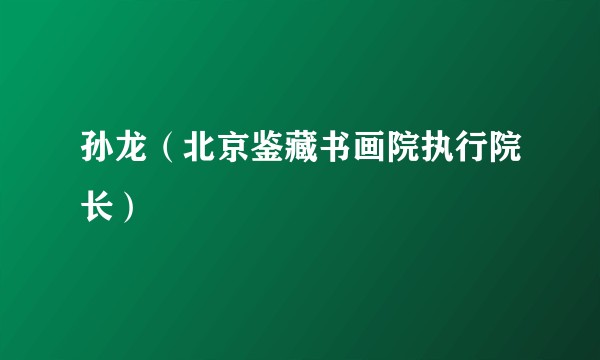 孙龙（北京鉴藏书画院执行院长）