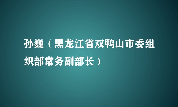 孙巍（黑龙江省双鸭山市委组织部常务副部长）