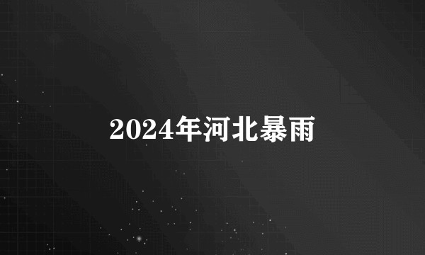 2024年河北暴雨