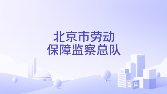 北京市劳动保障监察总队