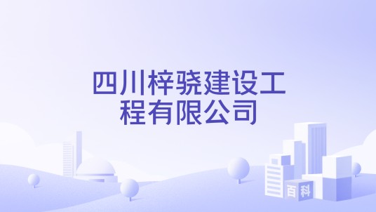 四川梓骁建设工程有限公司