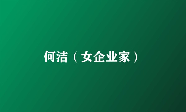 何洁（女企业家）