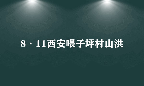8·11西安喂子坪村山洪