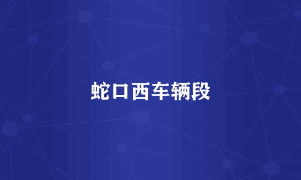 蛇口西车辆段