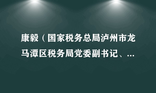 康毅（国家税务总局泸州市龙马潭区税务局党委副书记、副局长）