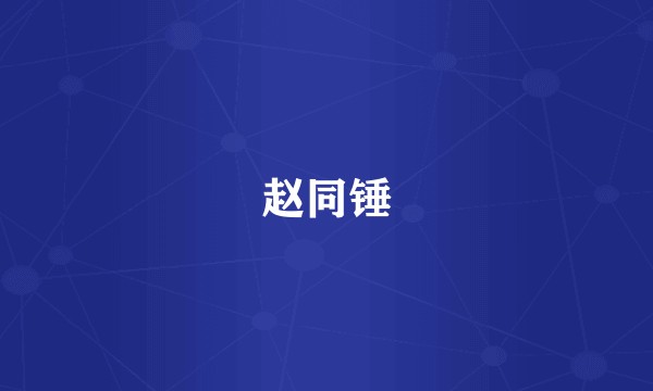 赵同锤