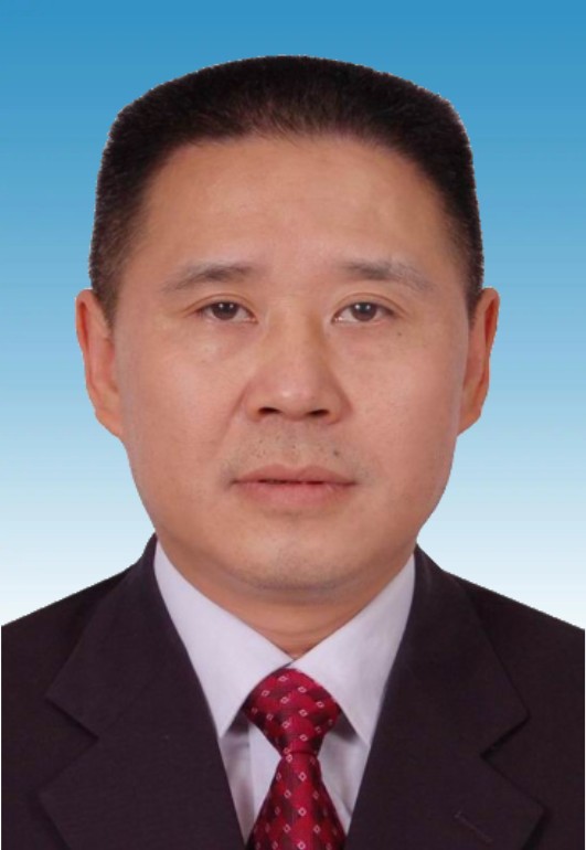 何勇（重庆市沙坪坝区委常委、一级巡视员，区政府党组副书记、常务副区长）