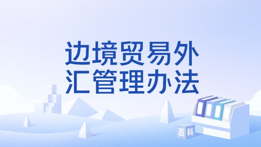 边境贸易外汇管理办法