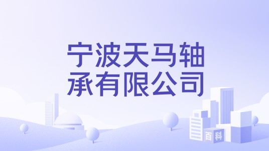 宁波天马轴承有限公司