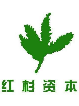 红杉资本