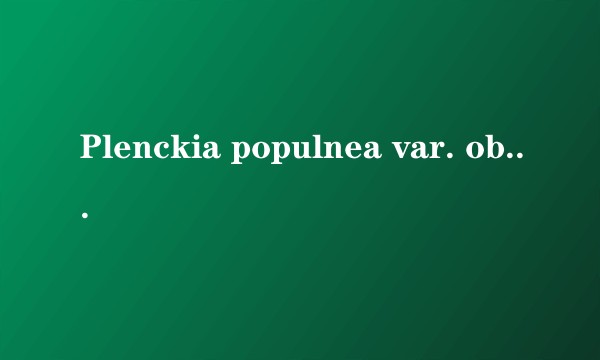 Plenckia populnea var. obovata