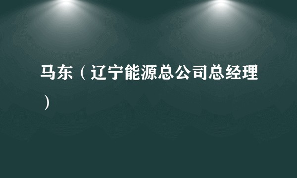 马东（辽宁能源总公司总经理）