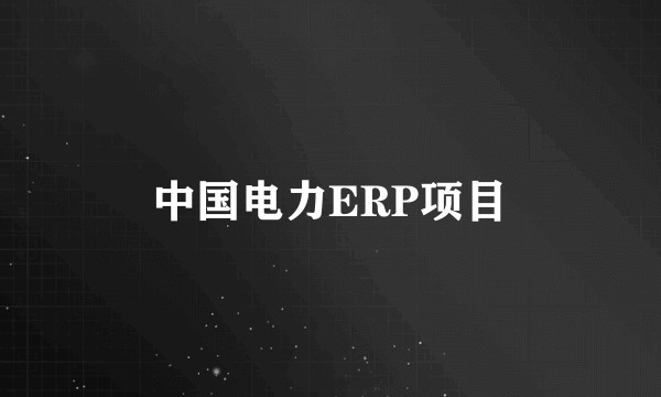 中国电力ERP项目