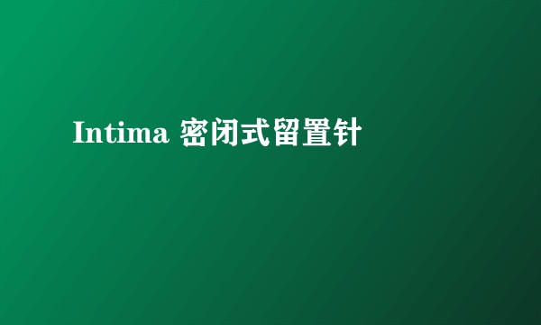 Intima 密闭式留置针
