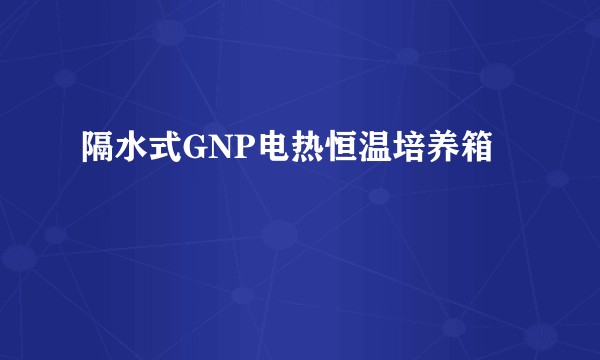 隔水式GNP电热恒温培养箱