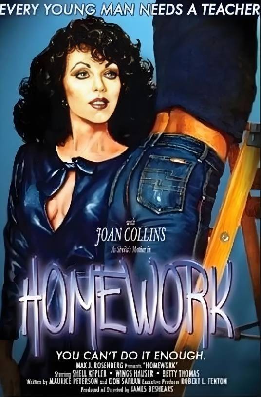 家庭作业（1982年美国电影）