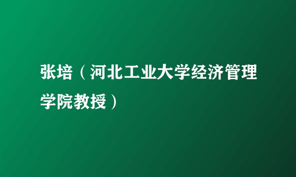 张培（河北工业大学经济管理学院教授）