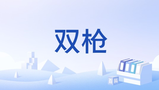 双枪（古代双持短枪类奇门兵器）