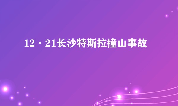 12·21长沙特斯拉撞山事故