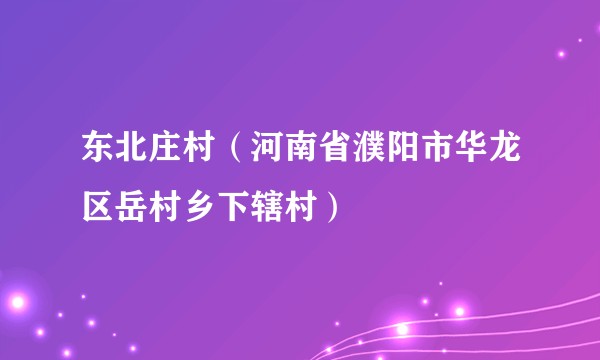 东北庄村（河南省濮阳市华龙区岳村乡下辖村）