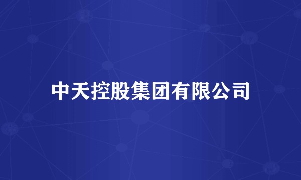 中天控股集团有限公司