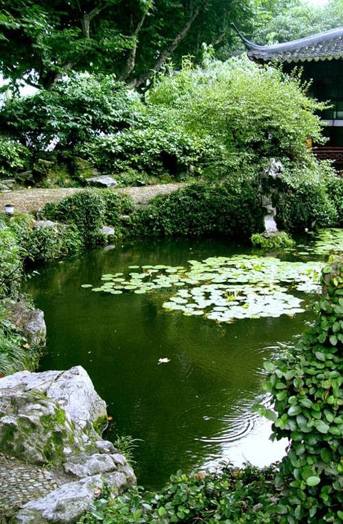 莲池（杭州西泠印社内的泉水景观）