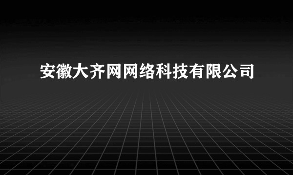 安徽大齐网网络科技有限公司