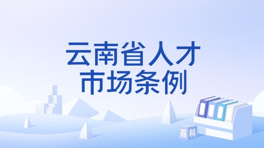 云南省人才市场条例