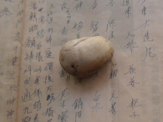 老奴丸