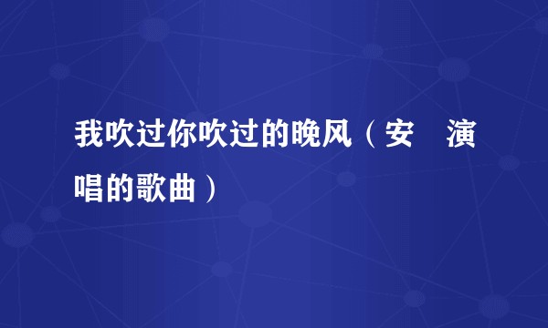我吹过你吹过的晚风（安泩演唱的歌曲）