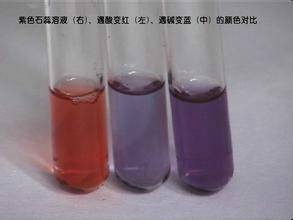 石蕊试液