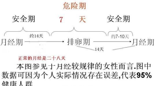 排卵期计算法